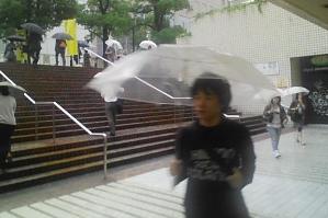 �u���~�l�����̊O�K�i�v